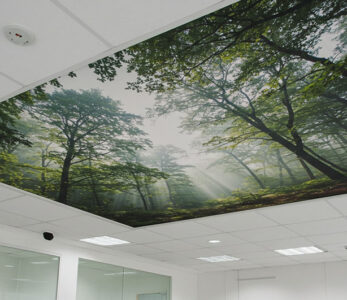 Frosted Glass Privacy Vinyl